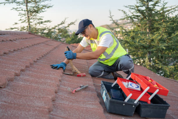 Best Roof Gutter Cleaning  in Agler Beach, FL